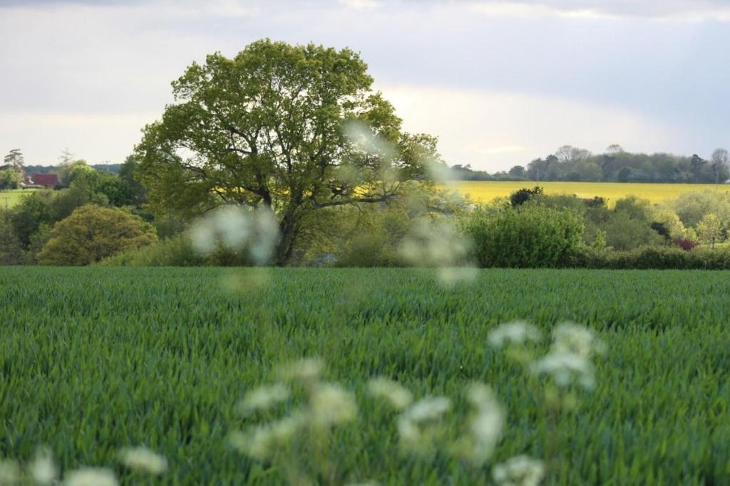 Lovely 3 Bedroom House In The Centre Of Lavenham Bagian luar foto